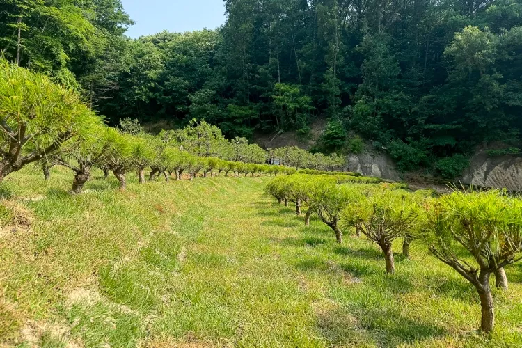 용인시 수목장 위치- 납골당 분양, 수목장/추모공원 안내, 가격비교,