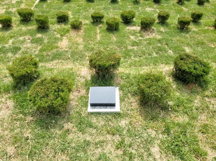 용인 수목장, 금오동지 납골당 가격, 위치 상담 - 납골당 분양, 수목장/추모공원 안내, 가격비교