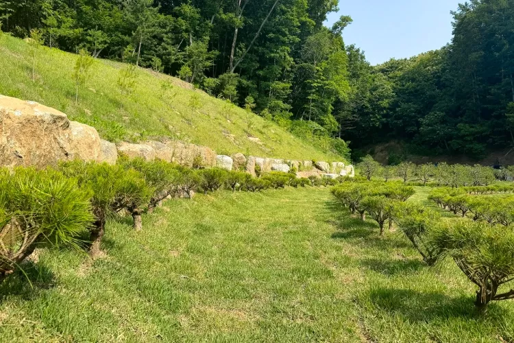 용인시 수목장 위치- 납골당 분양, 수목장/추모공원 안내, 가격비교,