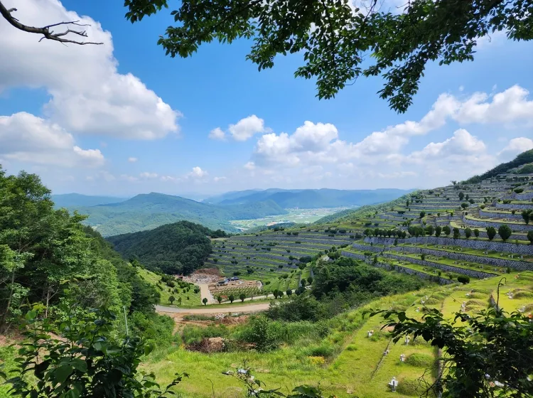 군위 수목장, 대구신세계수목장 납골당 가격, 위치 상담 - 납골당 분양, 수목장/추모공원 안내, 가격비교