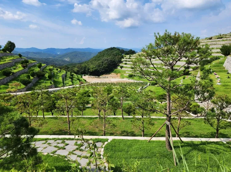 군위 수목장, 대구신세계수목장 납골당 가격, 위치 상담 - 납골당 분양, 수목장/추모공원 안내, 가격비교