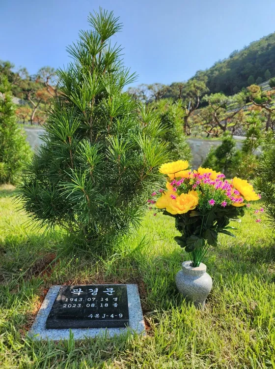 대구수목장, 고요하고 평화로운 곳 이용후기, 납골당 가격 비교, 납골당 분양 상담