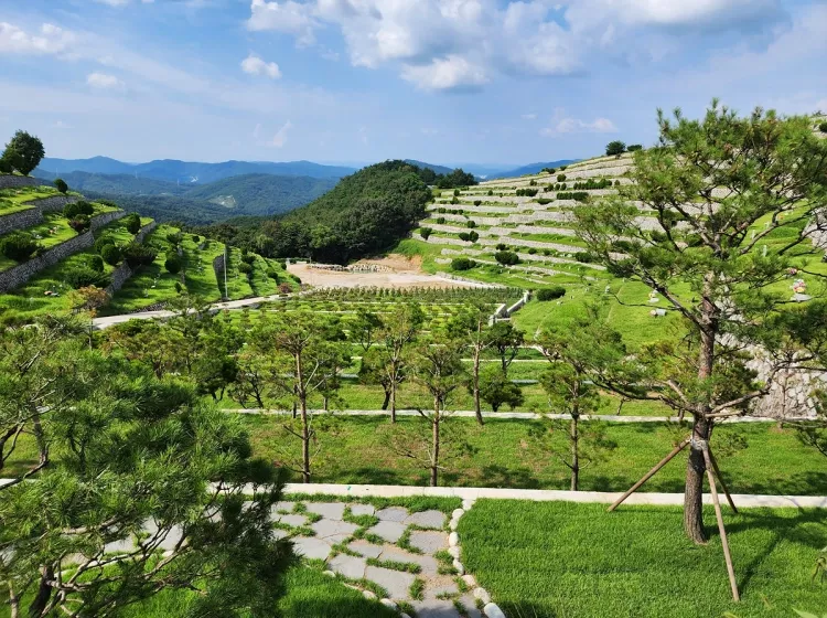  이용후기, 리뷰