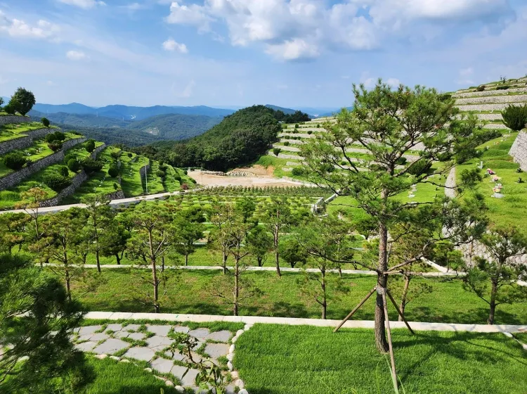 군위 수목장, 대구신세계수목장 납골당 가격, 위치 상담 - 납골당 분양, 수목장/추모공원 안내, 가격비교