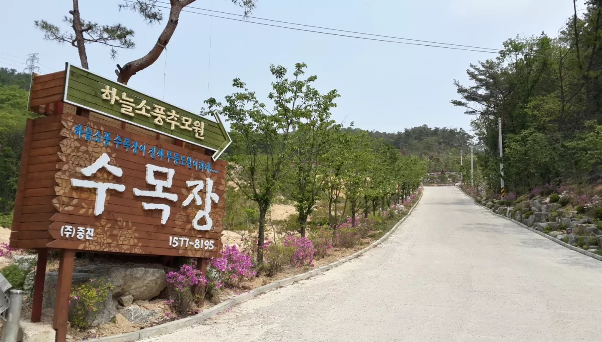 양주 하늘 수목장, 하늘소풍수목장 납골당 가격, 위치 상담 - 납골당 분양, 수목장/추모공원 안내, 가격비교