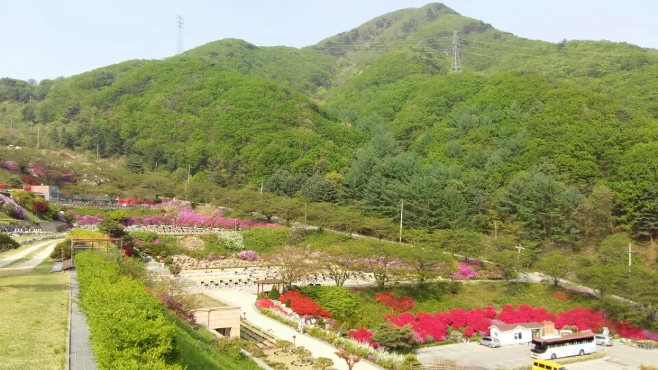 동두천 수목장, 예래원 납골당 가격, 위치 상담 - 납골당 분양, 수목장/추모공원 안내, 가격비교