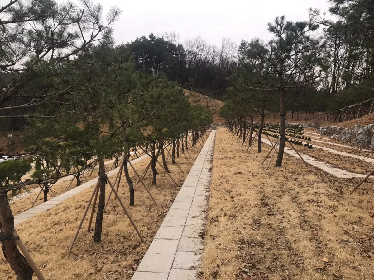 용인 로뎀 수목장, 용인로뎀파크 납골당 가격, 위치 상담 - 납골당 분양, 수목장/추모공원 안내, 가격비교