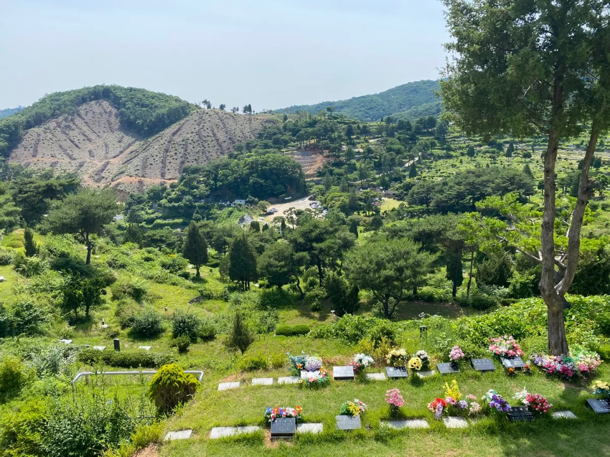 양주 수목장, 신세계공원묘원 납골당 가격, 위치 상담 - 납골당 분양, 수목장/추모공원 안내, 가격비교