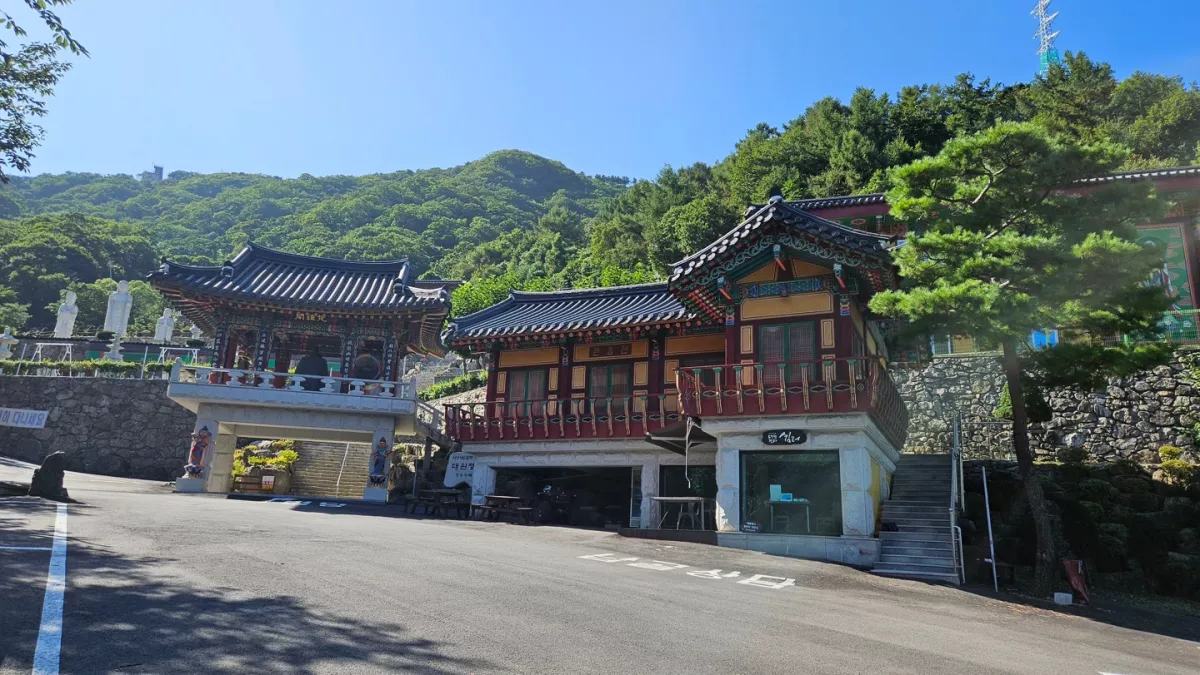 양주 불교 수목장, 대원정사 납골당 가격, 위치 상담 - 납골당 분양, 수목장/추모공원 안내, 가격비교