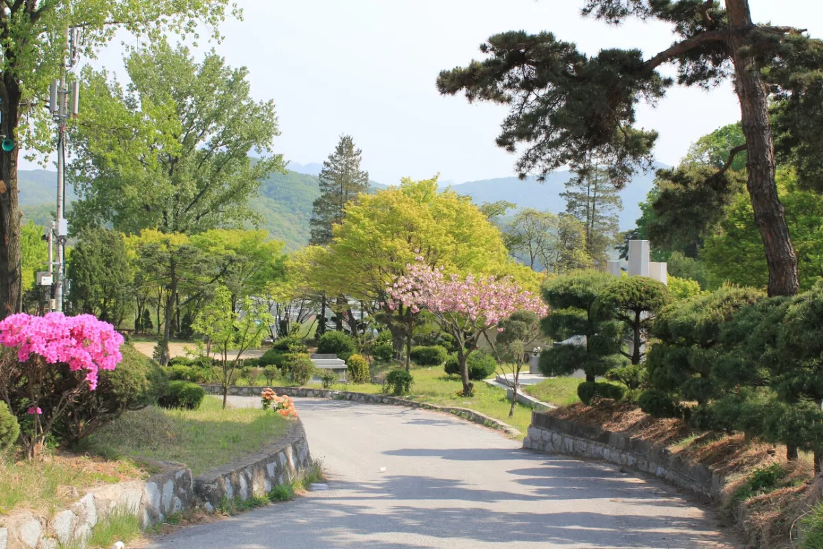 양주 수목장, 신세계공원묘원 납골당 가격, 위치 상담 - 납골당 분양, 수목장/추모공원 안내, 가격비교