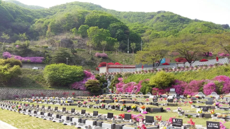 동두천 수목장, 예래원 납골당 가격, 위치 상담 - 납골당 분양, 수목장/추모공원 안내, 가격비교