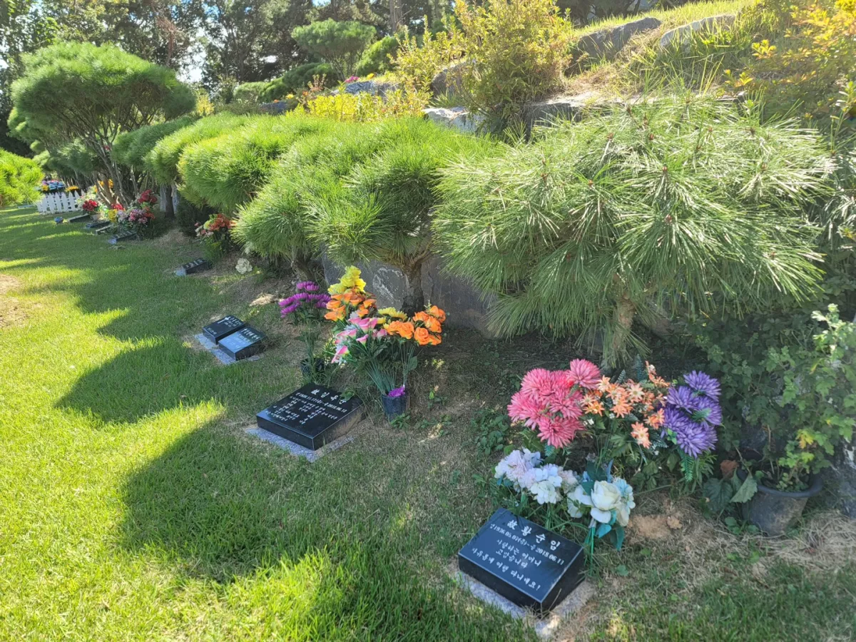 여주 수목장, 여주세종추모공원 납골당 가격, 위치 상담 - 납골당 분양, 수목장/추모공원 안내, 가격비교