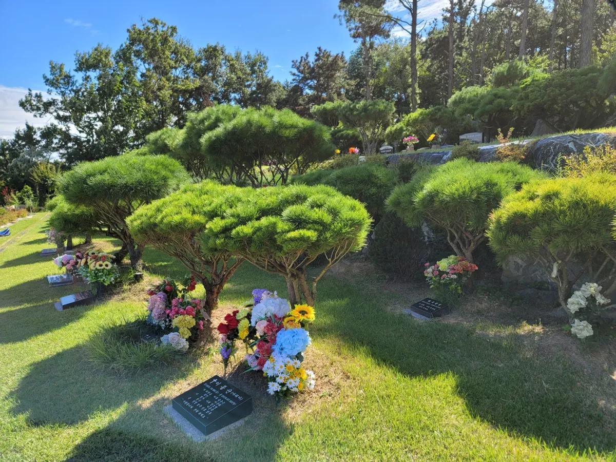 여주 수목장, 여주세종추모공원 납골당 가격, 위치 상담 - 납골당 분양, 수목장/추모공원 안내, 가격비교