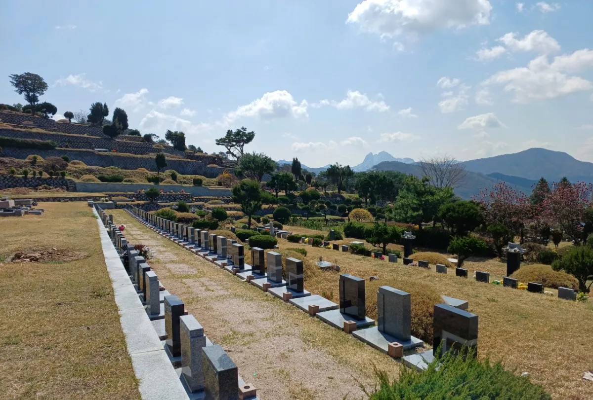 양주 수목장, 신세계공원묘원 납골당 가격, 위치 상담 - 납골당 분양, 수목장/추모공원 안내, 가격비교