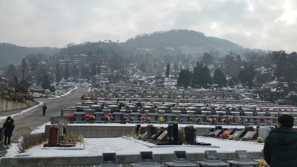 양평군 공원묘지 납골당 안내 - 납골당 분양, 수목장/추모공원 안내, 가격비교