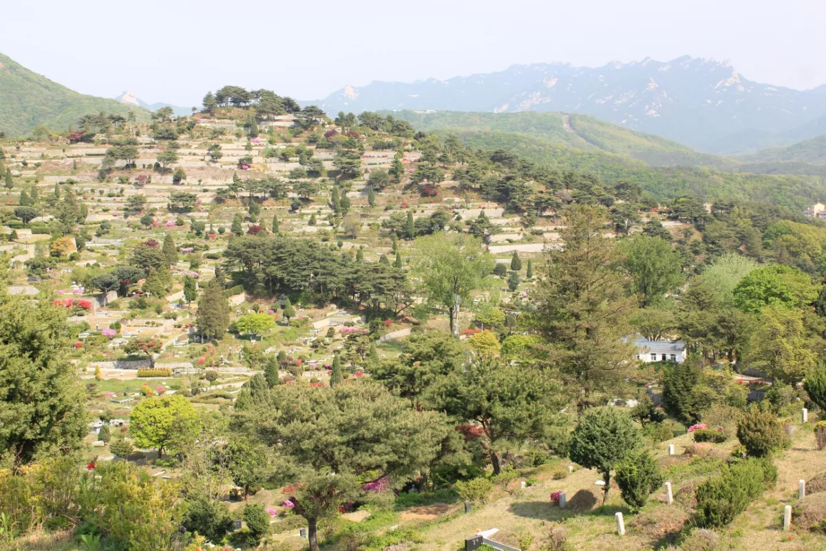 양주 수목장, 신세계공원묘원 납골당 가격, 위치 상담 - 납골당 분양, 수목장/추모공원 안내, 가격비교