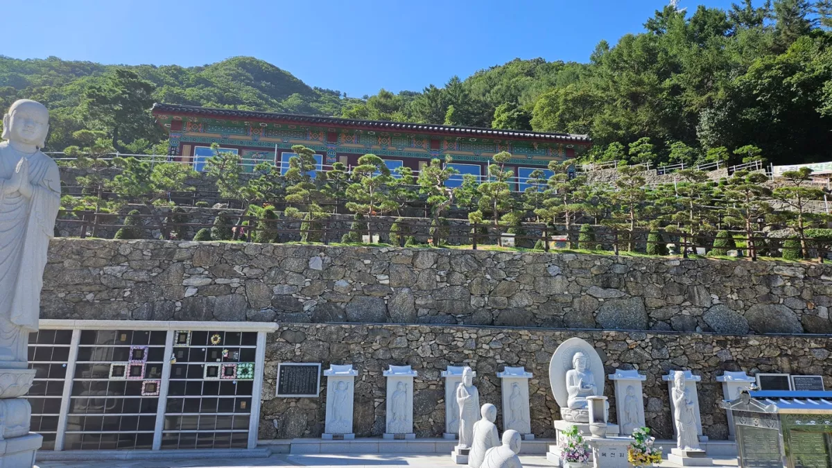 양주 불교 수목장, 대원정사 납골당 가격, 위치 상담 - 납골당 분양, 수목장/추모공원 안내, 가격비교