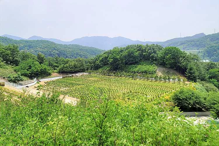 곤지암추모공원- 가격비교, 납골당 분양, 수목장/추모공원 안내