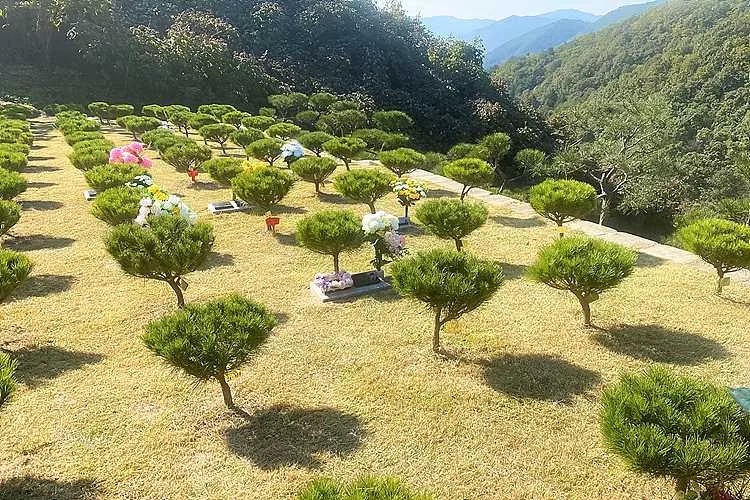 양평공원묘지- 가격비교, 납골당 분양, 수목장/추모공원 안내