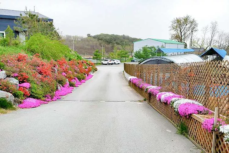 서안성수목장 가격 비교 및 추천, 안성 납골당 위치 및 비용