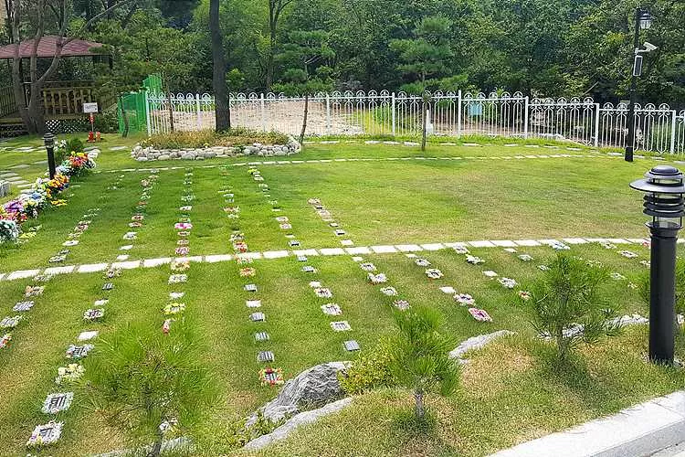 양주수목장- 가격비교, 납골당 분양, 수목장/추모공원 안내