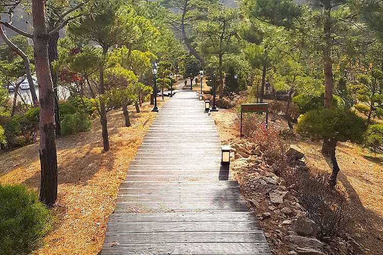 양주수목장림 가격 비교 및 추천, 양주 납골당 위치 및 비용