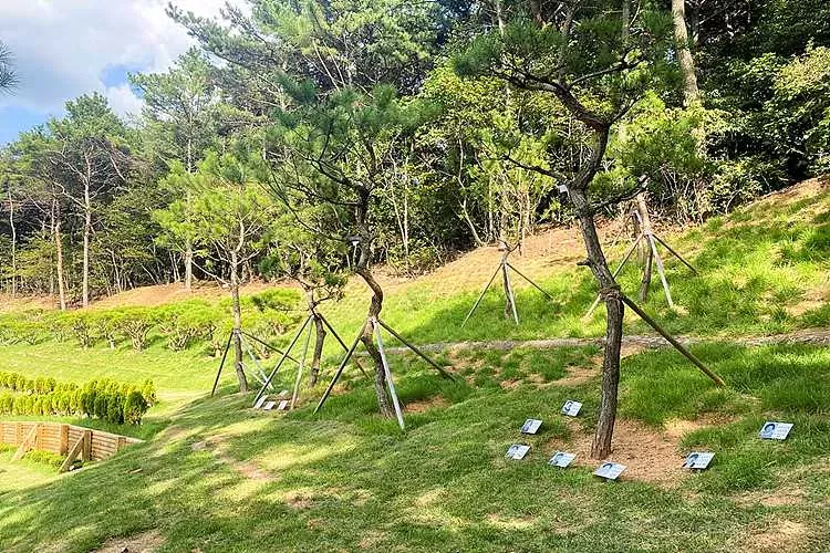 일산수목장- 가격비교, 납골당 분양, 수목장/추모공원 안내