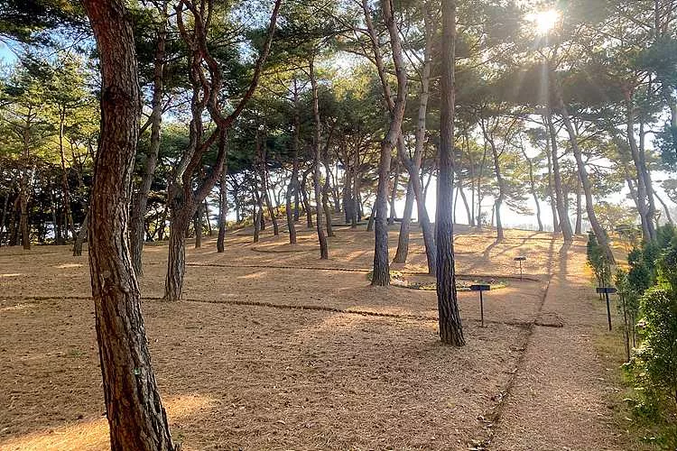 안산수목장- 가격비교, 납골당 분양, 수목장/추모공원 안내