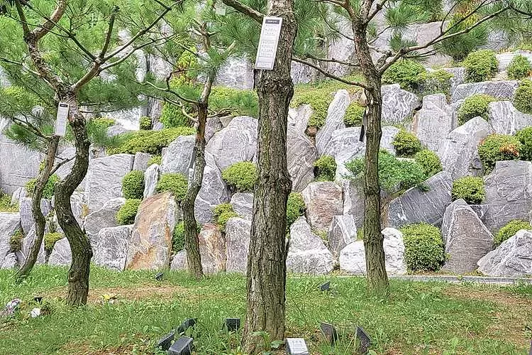 분당추모공원- 가격비교, 납골당 분양, 수목장/추모공원 안내