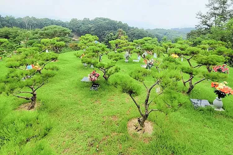 양평불교수목장- 가격비교, 납골당 분양, 수목장/추모공원 안내