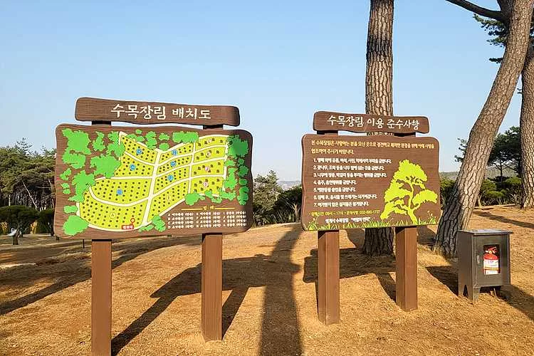 안산수목장 가격 비교 및 추천, 안산 납골당 위치 및 비용