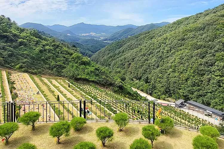 양평공원묘지- 가격비교, 납골당 분양, 수목장/추모공원 안내