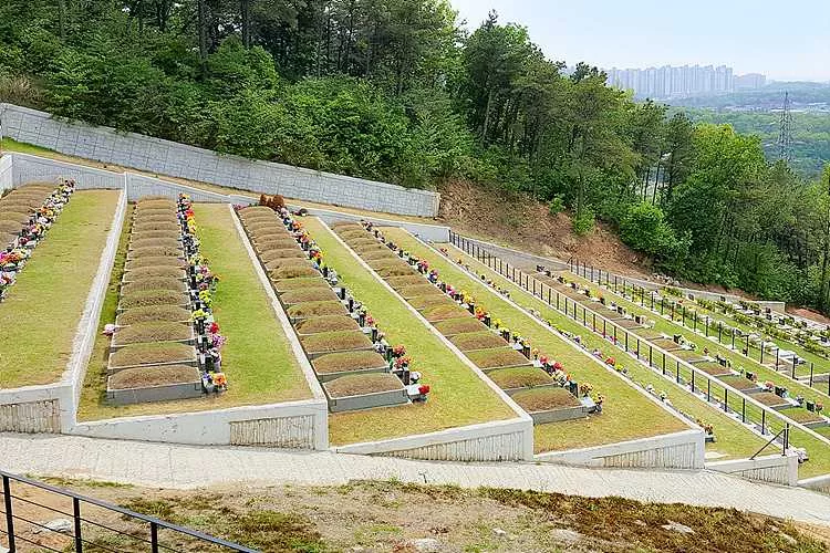 일산공원묘지- 가격비교, 납골당 분양, 수목장/추모공원 안내