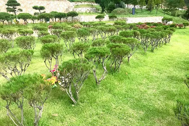 장흥공원묘지- 가격비교, 납골당 분양, 수목장/추모공원 안내
