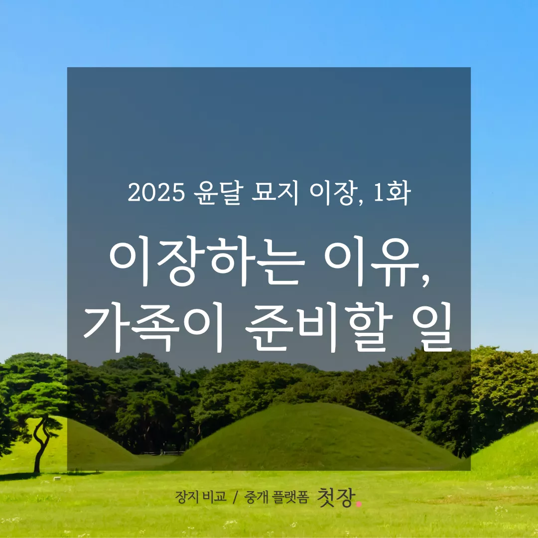 묘지이장 | 순서, 방법, 가족들 준비 할 일