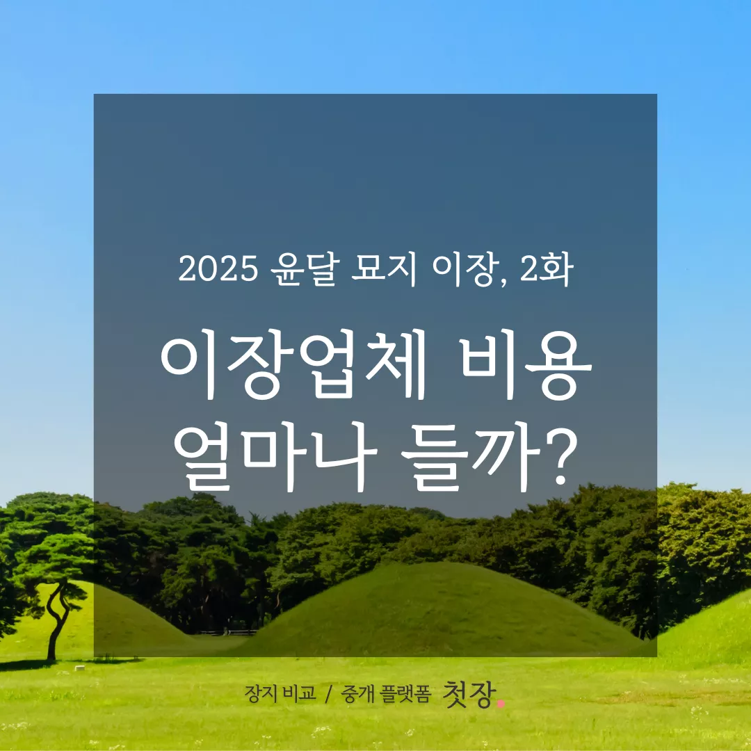 묘지이장 | 업체 비용 안내