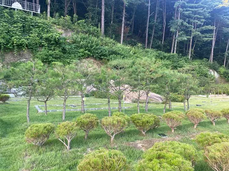 이용후기, 리뷰