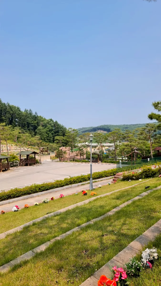  이용후기, 리뷰