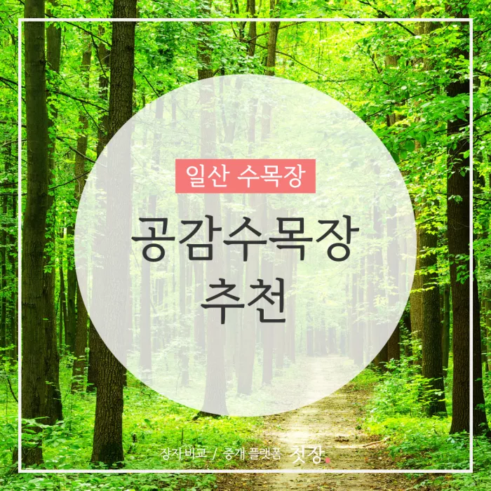 공감수목장 추천