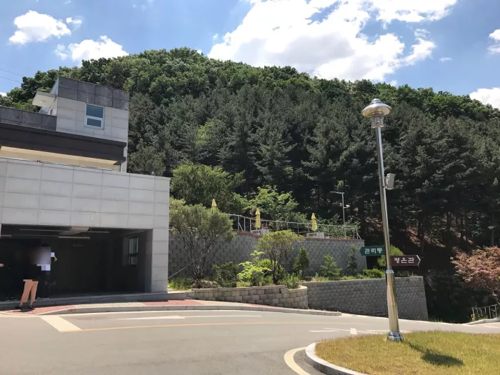  이용후기, 리뷰