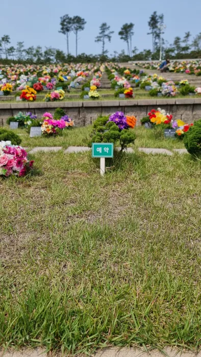  이용후기, 리뷰
