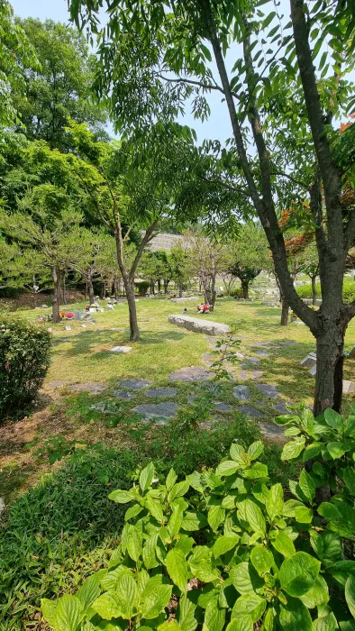  이용후기, 리뷰
