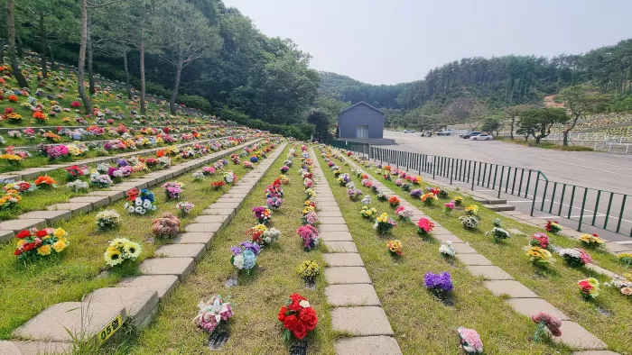 이용후기, 리뷰
