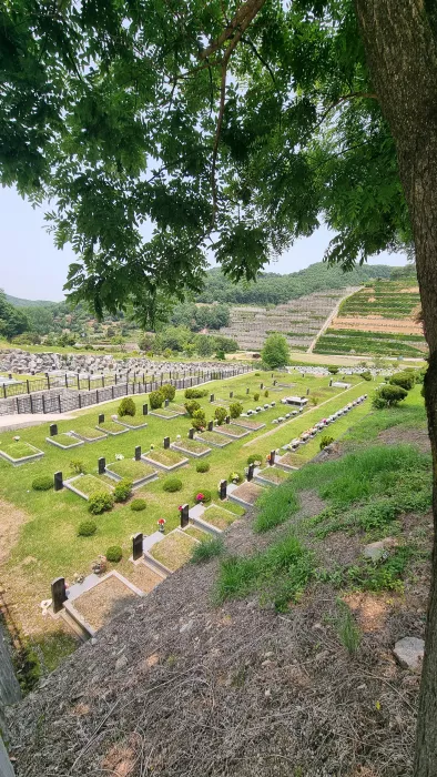 이용후기, 리뷰