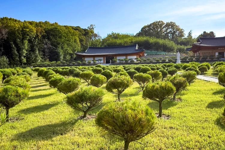 김포애기봉수목장- 가격비교, 납골당 분양, 수목장/추모공원 안내