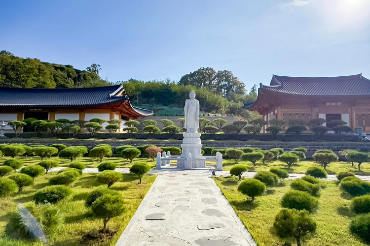 김포애기봉수목장- 가격비교, 납골당 분양, 수목장/추모공원 안내