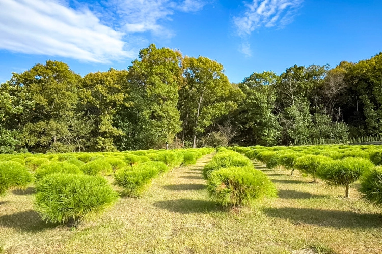 김포 납골당 사진, 위치 및 비용 상담비교
