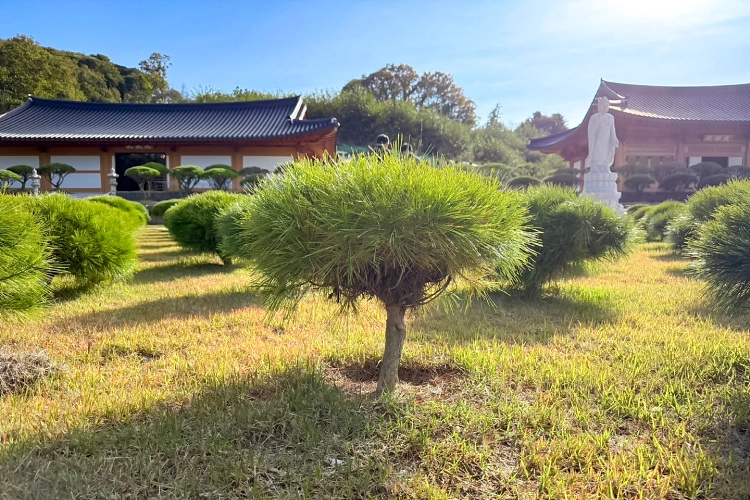 김포애기봉수목장- 가격비교, 납골당 분양, 수목장/추모공원 안내