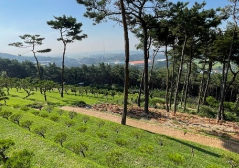  이용후기, 리뷰