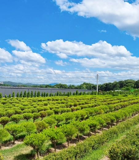 자연과 가까운 고양시수목장 후기 이용후기, 납골당 가격 비교, 납골당 분양 상담